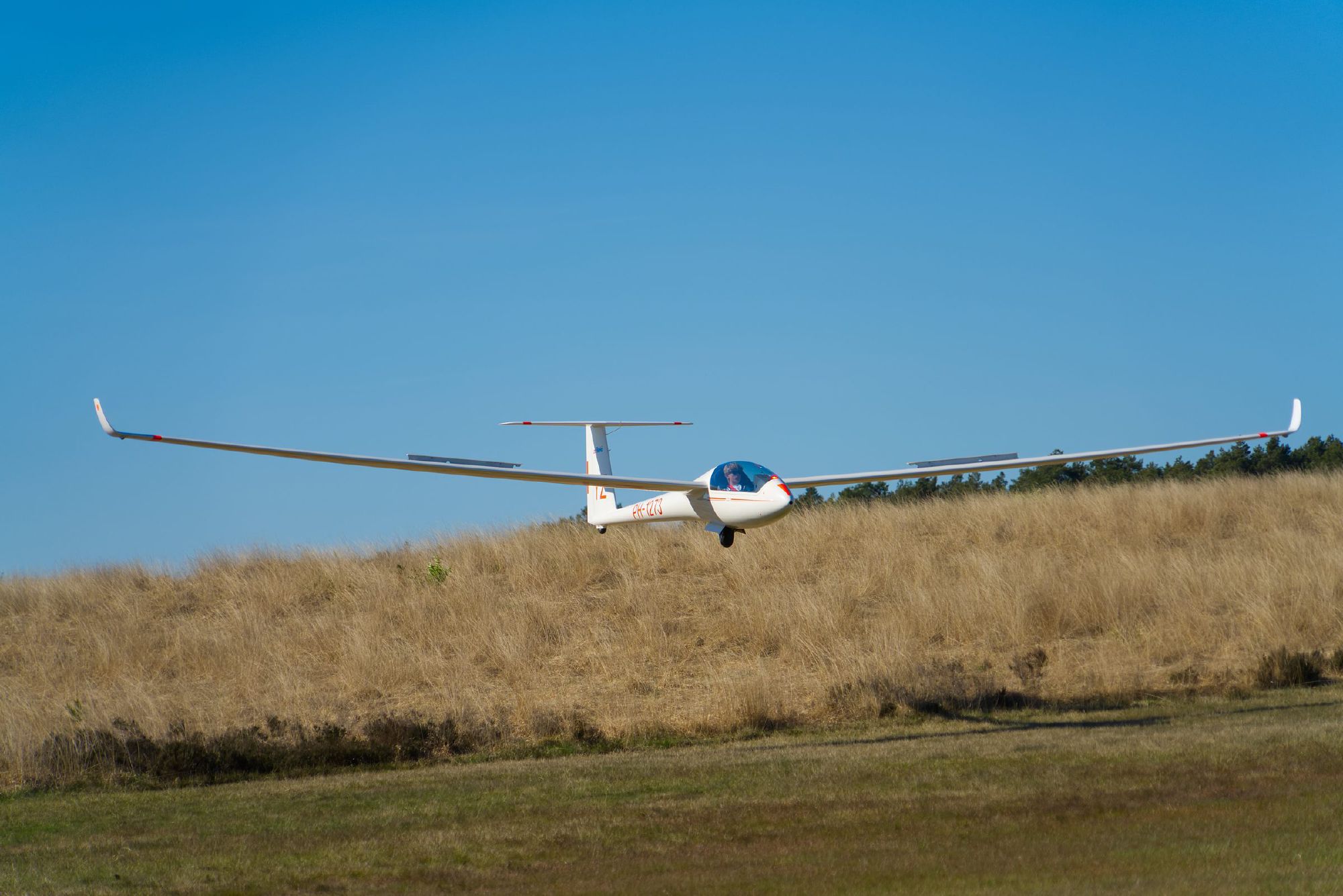 Een wit zweefvliegtuig vliegt laag over het gras van de heide tegen een strakblauwe lucht