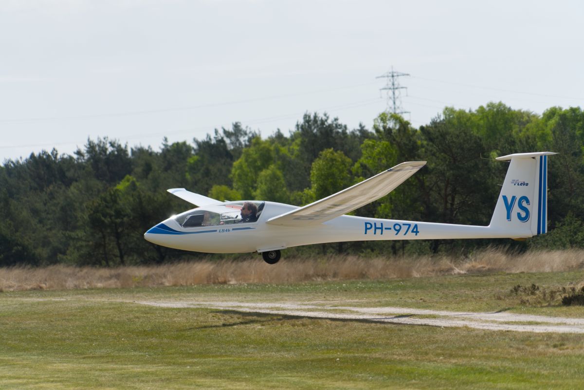 David2 28426